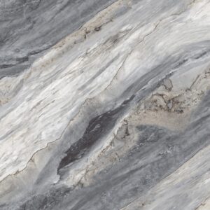 ENCILLIA GREY