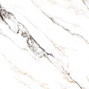 MACAEL WHITE