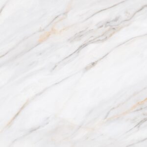 SIGNORINO GREY
